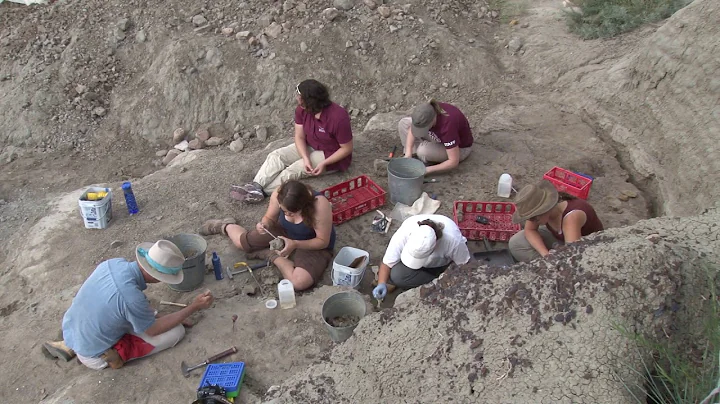 Horses and Palaeontology