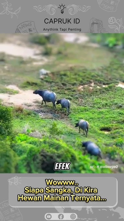 Dikira Miniatur fhotography videography miniature definition YouTube dikira-miniatur-fhotography-videography-miniature-definition-youtube