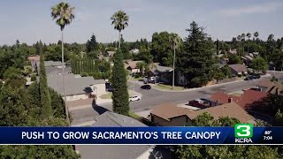 Sacramento leaders, advocates work to increase city's tree canopy