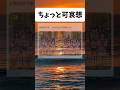 ちょっと可哀想#おもしろ #おすすめ #shorts