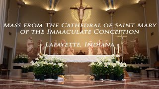 Easter Vigil Mass - St. Mary Cathedral, Lafayette, IN April 4, 2026 8:30 PM