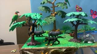 Maqueta ecosistemas marino y terrestre
