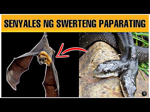 Video: Bakit Ang Mga Tao Ay Naniniwala Sa Mga Palatandaan