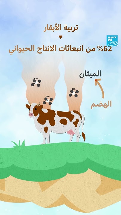  :     ο  24
 - نشر قبل 21 دقيقة