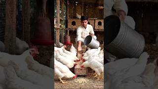 #ai #animals #cow #pets #subscribe #support #aivideo #viral #video