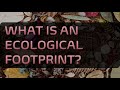 Sustaining Our Planet: Understanding Ecological Footprints and Resource Management