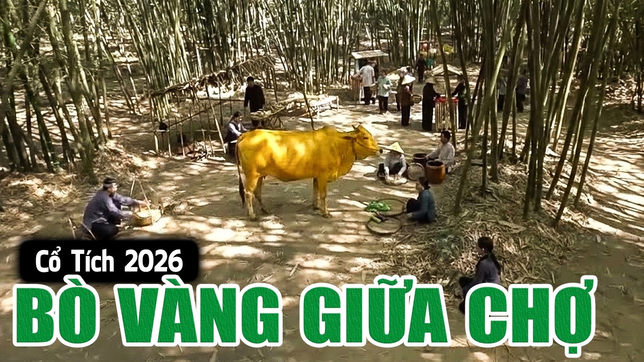 BÒ VÀNG GIỮA CHỢ | Cổ Tích Việt Nam 2026 | Phim Truyện Cổ Tích | Cổ Tích Mới Nhất | Cổ Tích Hay Nhất