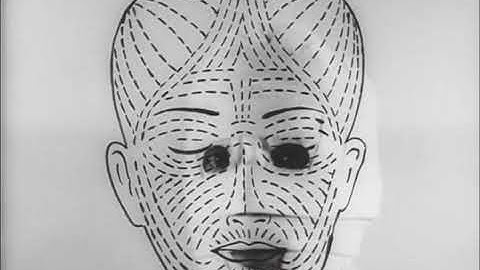 予告編 他人の顔 1966 勅使河原宏