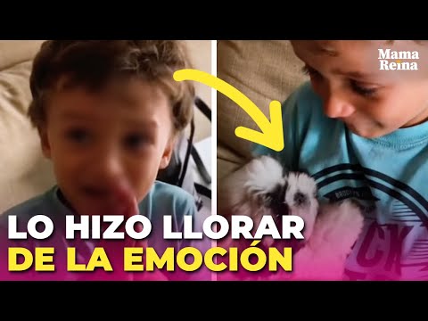 No aguantó las lágrimas al conocer a su mejor amigo