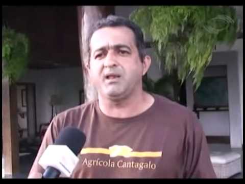 Matéria da TV Mercado sobre a Agricola Cantagalo.avi