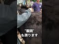 【こうふく君】590日目