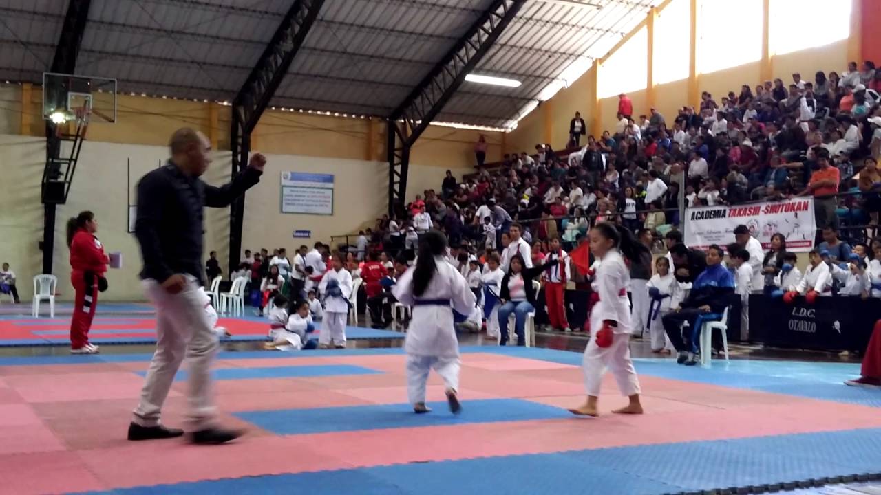 club de karate do fenix