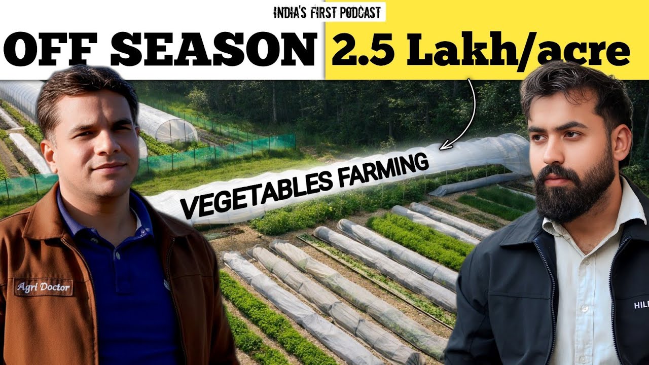 📗Winter Vegetables Handbook : बुवाई से लेकर फूल अवस्था तक 🤑 Complete Fertilizer & Spray Schedule🌱