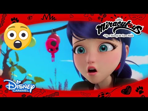 Mucize: Uğur Böceği ile Kara Kedi I Marinette Her Şeyi Mahvediyor! 😧I Disney Channel TR