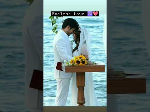 Kara Sevda Endless Love Burakozcivit Neslihanatagül Love Youtubes Explores Ytshorts 
