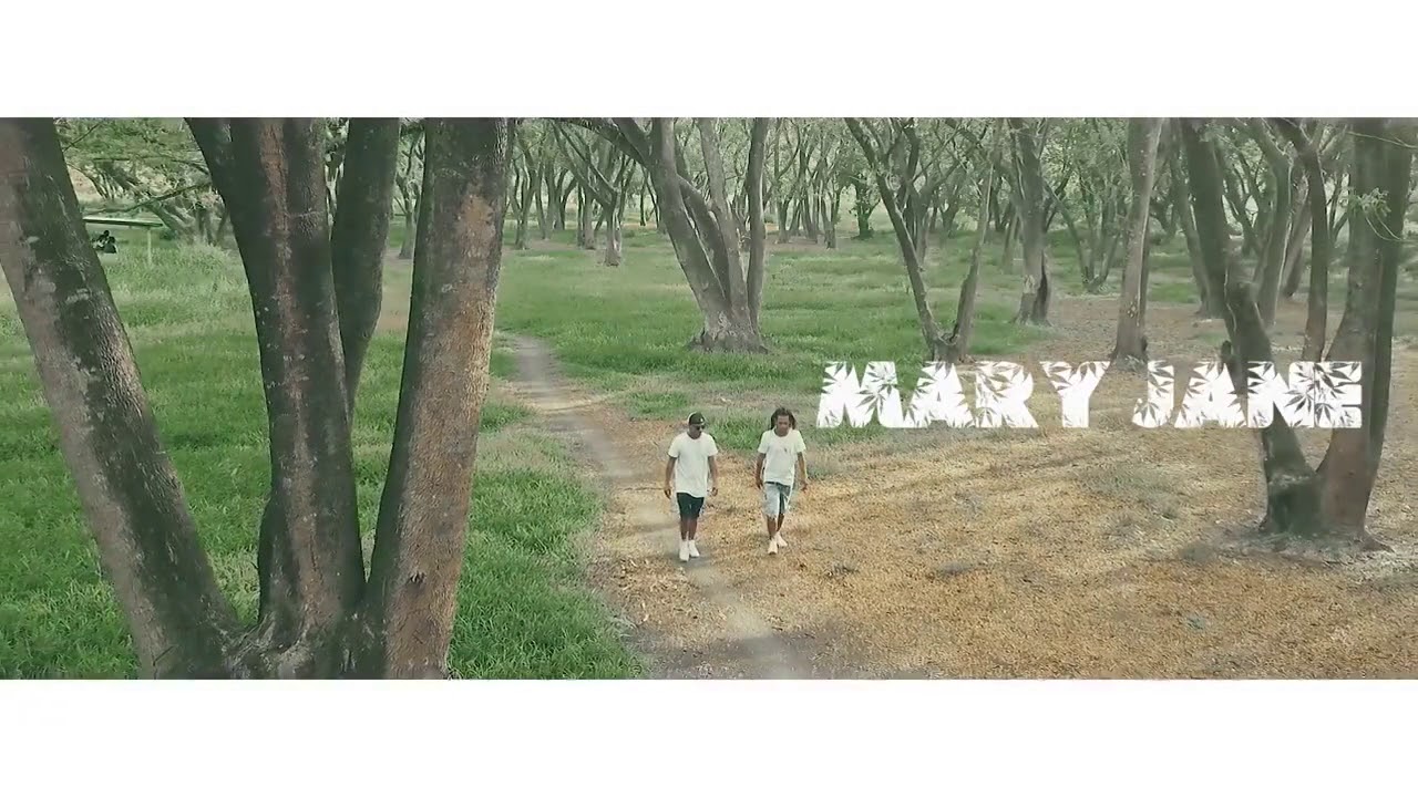 preview_player