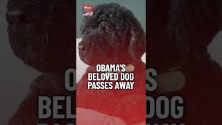 Obama bids farewell to beloved dog Sunny in heart-wrenching post