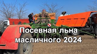 Посевная льна масличного 2024. Получили всходы. Мысли вслух: пыльные бури и поможет ли ноу тилл