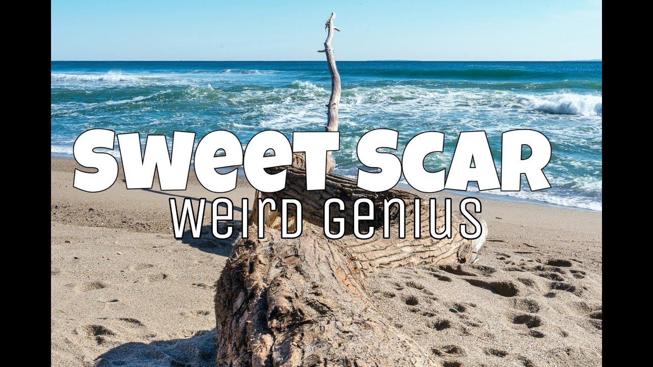 Weird Genius feat. Prince Husein Sweet scar (Lyric Video) YouTube