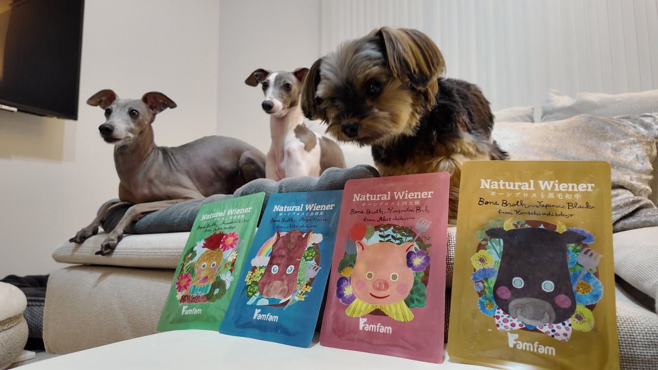 実家犬が泊まりに来たのでソーセージパーティしてみたらwww