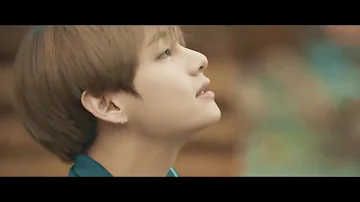 BTS ( the truth untold) mv