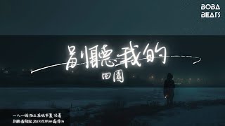 田園 - 別聽我的『你有多深諳我的難過 還是僅有憐憫之心了呢』【Lyrics Video】