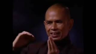 Anger is a Kind of Flower  Practicing Mindfulness of Anger (Thich Nhat Hanh)