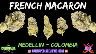 French Macaron Strain Review - Cannabis in Medellin, Colombia - Cannapedia