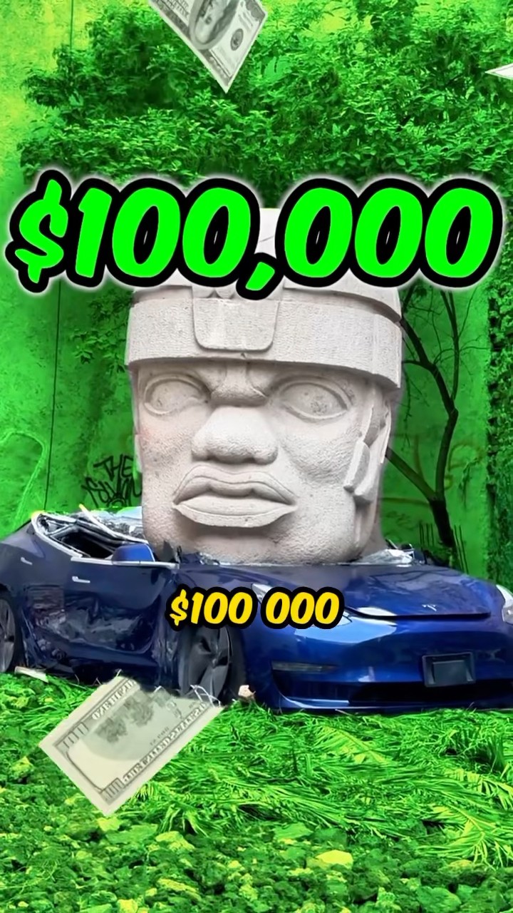 Una muy costosa obra de arte ??️? #Tesla