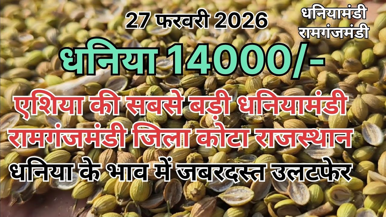 धनिया का भाव हुआ 14000/- पार ।। धनिया के भाव में जबरदस्त उछाल ।। धनिया भाव रामगंजमंडी ।। 27/02/2026