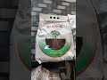 Pravardhak micro Riza biofertilizer use 🌿 #गेहूंकीखेती #farmingtips #agriculture #highyieldwheat