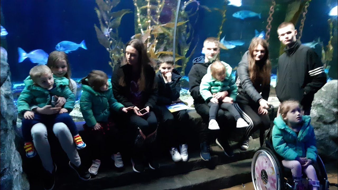 Sea life centre Loch Lomond and 3 Asda too good to go bags. - YouTube