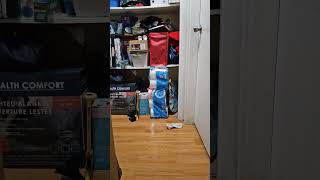 I just got to dizzy again