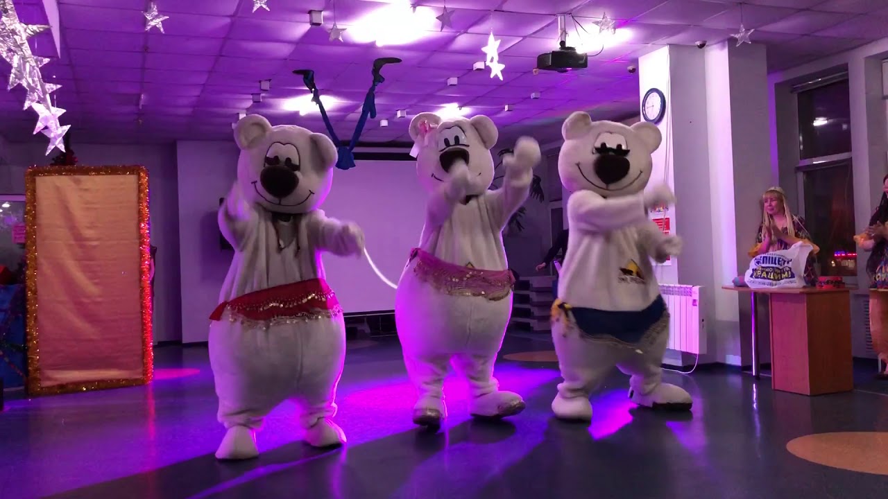 Dance bear com. Танцующий медведь вечеринка. Медведь танцует. Мишка танцует. Веселые Танцующие медведи.