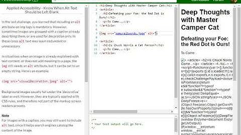Applied Accessibility   Know When Alt Text Should be Left Blank free code camp   Dani