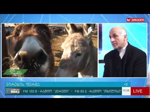 ვირების ფერმა   “სახე დარი”