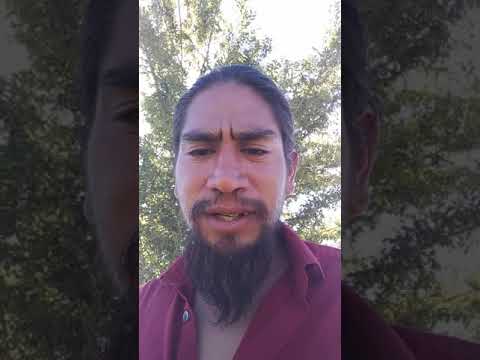 Video: Oor Sunmaster-tamaties – wenke vir die kweek van Sunmaster-tamatieplante