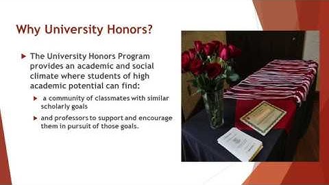 Witt Minute: Wittenberg University Honors Program