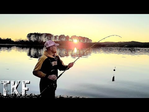 Bank Fishing for MONSTER Catfish - Tips and Techniques!