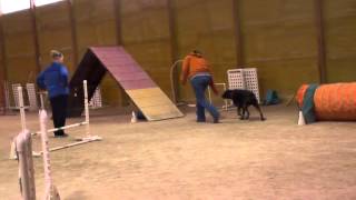 Nova Agility April 5 Boxer 2