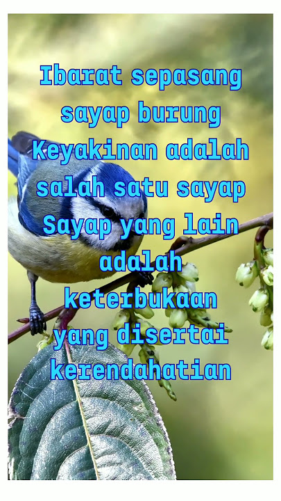 Kata' mutiara tentang burung,