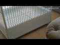 Клетка для большого попугая своими руками  diy parrot cage