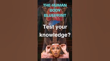 🔥 Brainpower Unleashed: Smart Quizzes for the Curious Minds 🤯