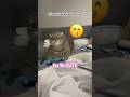 It's exhausting being this 🥰 #viralvideo #cat #shorts #trending #trendingshorts #funny #pets#kitten