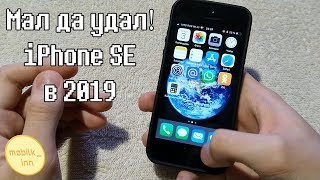 Обзор iPhone SE в 2019 — актуален ли? | mobilk_inn