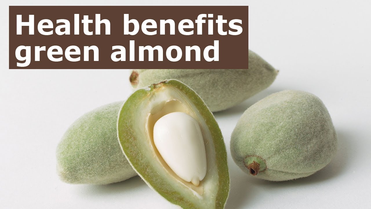 Health Benefits Of Green Almond How Important Is Green Almond In Our