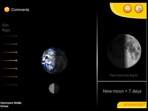 Moon Cycle of Phases Animation With Time Animation