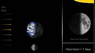 Moon Cycle of Phases Animation With Time Animation