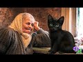 Черный кот стал для бабушки лекарством от ночных кошмарных снов