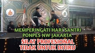 Silat Profesional Tidak Untuk Ditiru, Memperingati Hari Santri, Ponpes Nahdlatul Wathan Jakarta